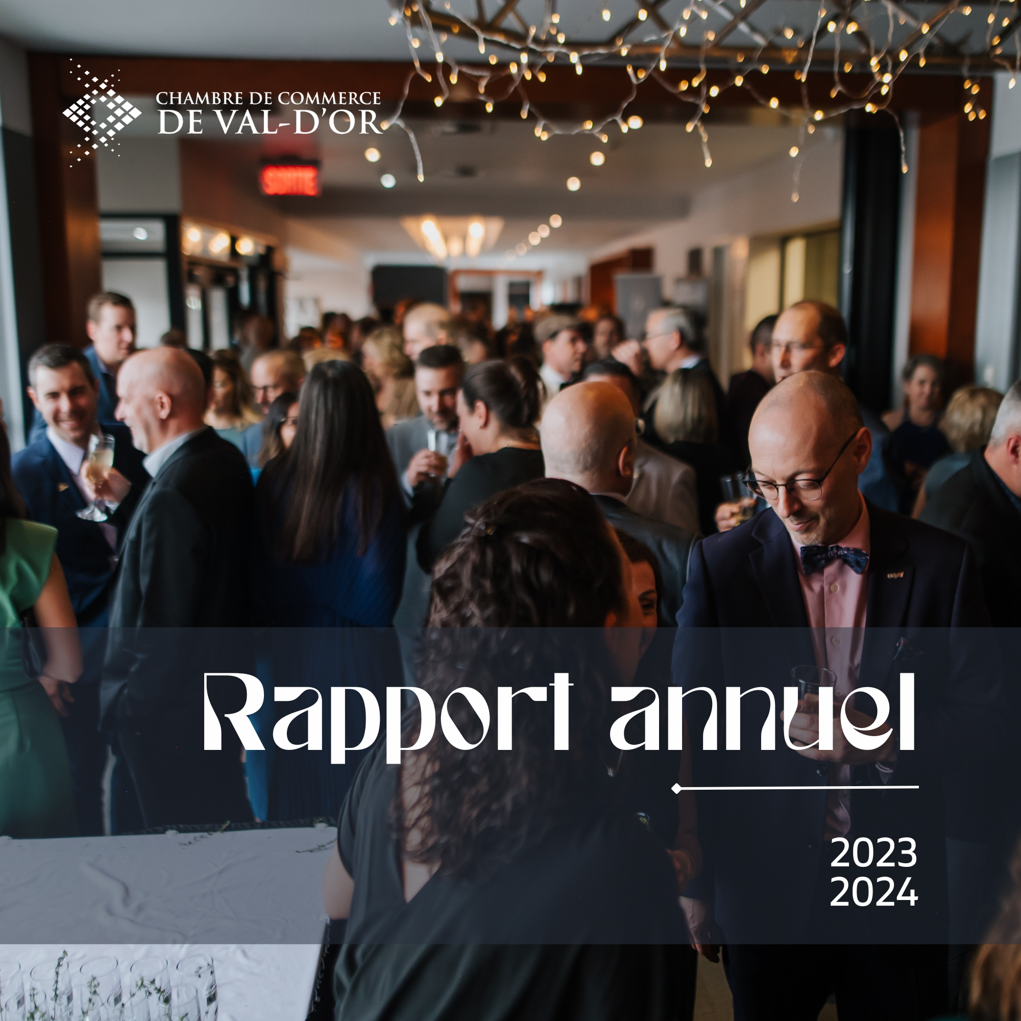 CCVD Rapport annuel 2019-2020
