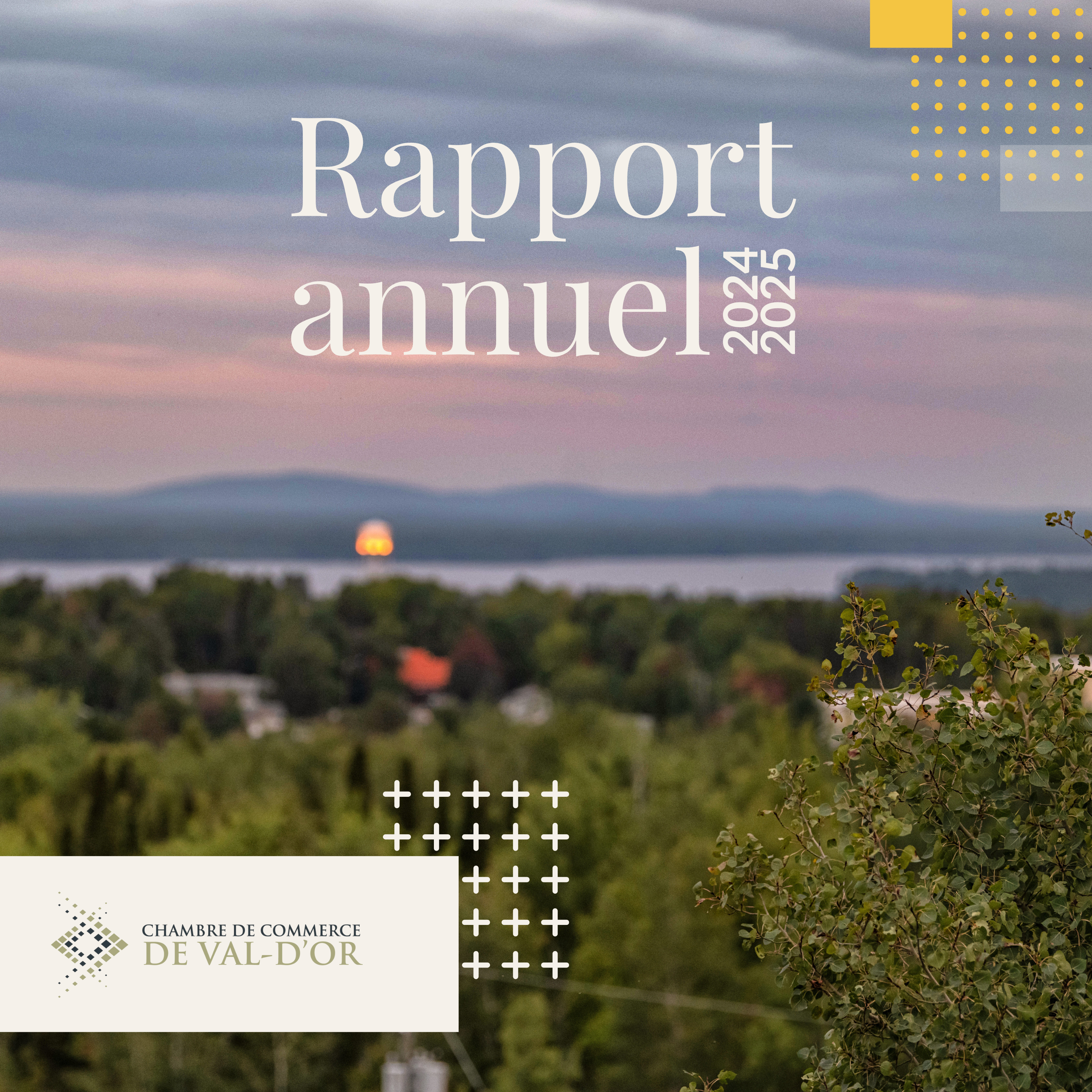 CCVD Rapport annuel 2019-2020